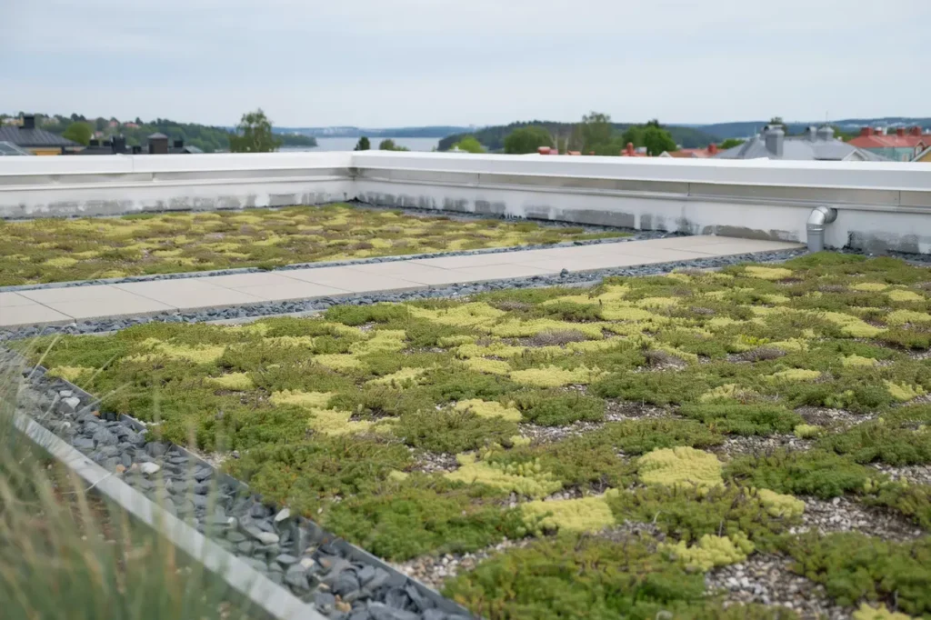 renovering av sedumtak p flerbostadshus i tureberg sollentuna